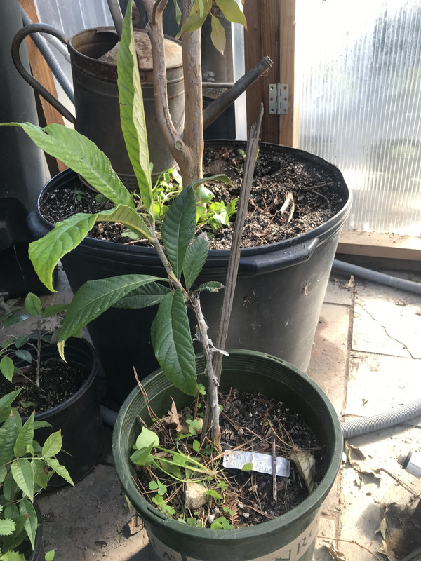 54B98173-6BF9-48B5-9A46-B4A77FEDFCDB