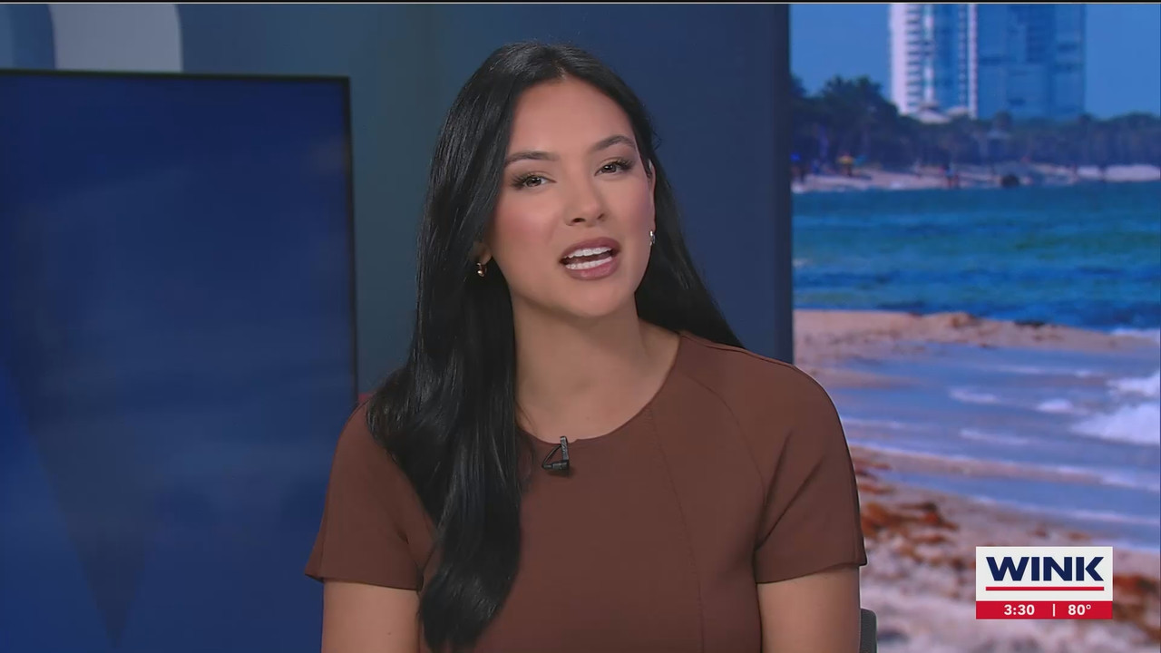 06.12 - 20.00.00 - WINK News at 3pm  ᴺᵉʷ. No Description Info.ts_snapshot_31.26.451