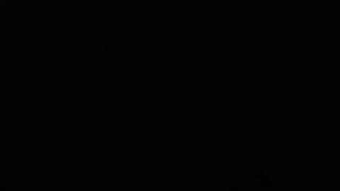 gif1