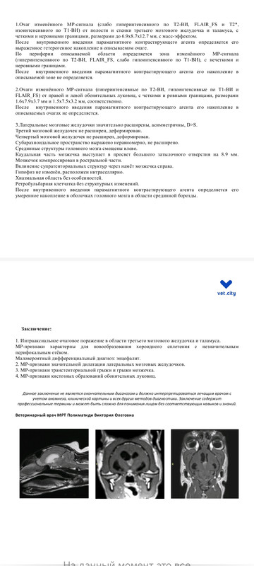 Screenshot_2023-10-14-12-57-54-452_com.mi.globalbrowser