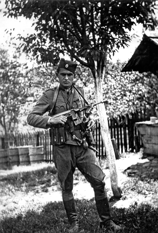 Миломир Максимовић