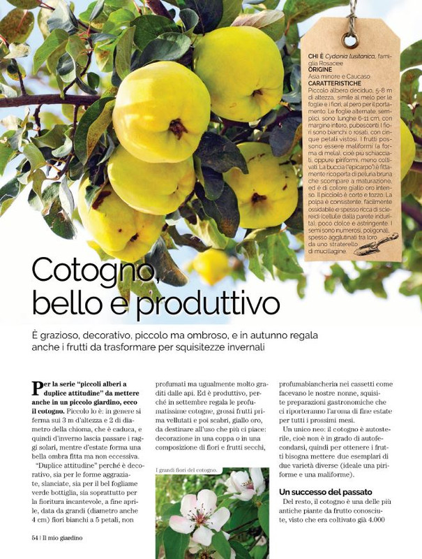 Il Mio Giar Ott-Nov 2022 (9)