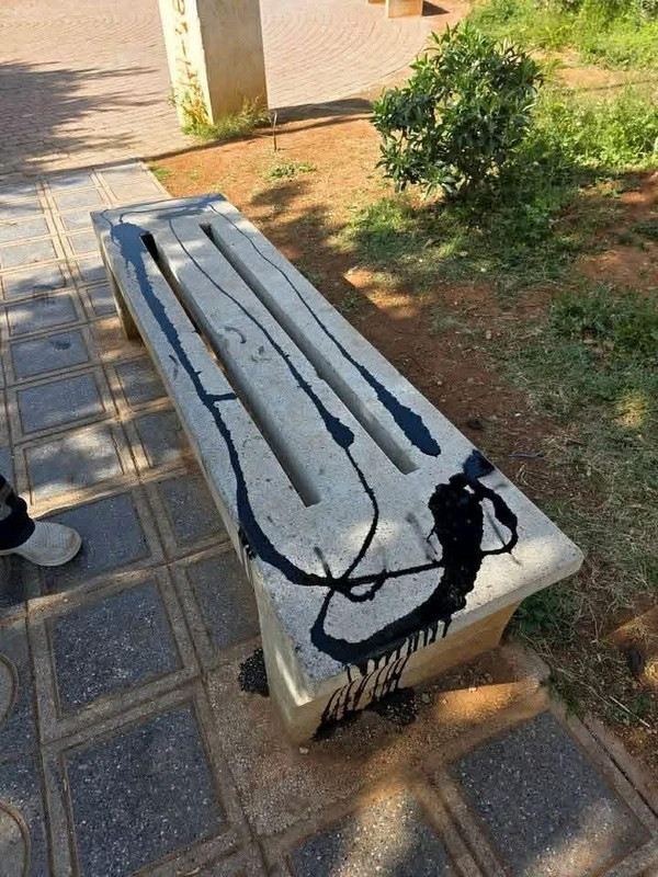 650898649-1209937157598353-2602809263910048016-n