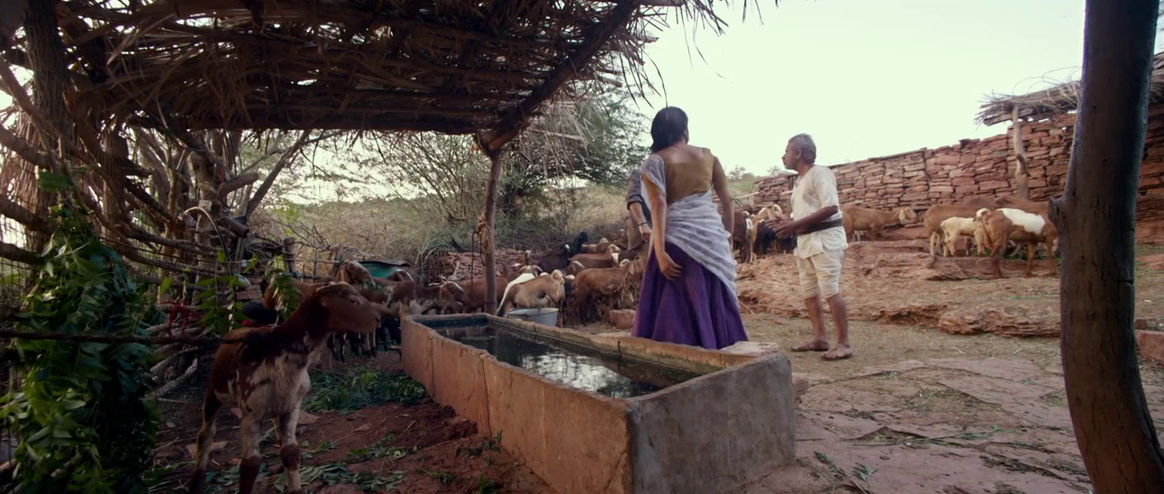 vlcsnap-2025-08-30-19h19m53s637