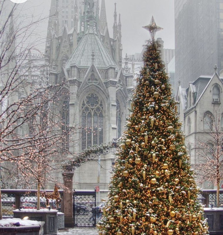 Screenshot_20221215-232733_Chrome