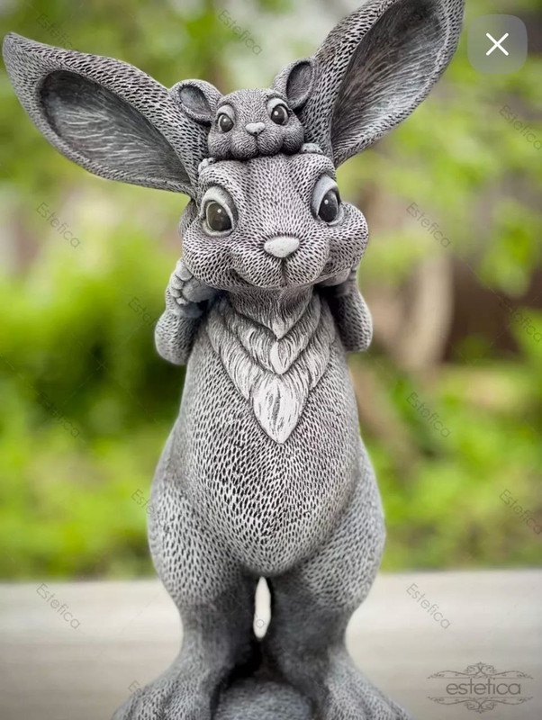 photo_2024-09-06_19-48-12