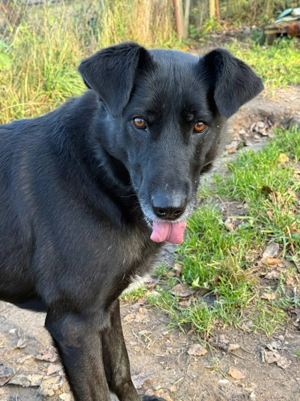 Rrl Wx Iagy AHc20Och0eg V7MRXsgv OSCe XVGS9v Anf OXes GOdz U44j AClx Id Sjivw XKUn98n k NS5VJ1J7f3O5