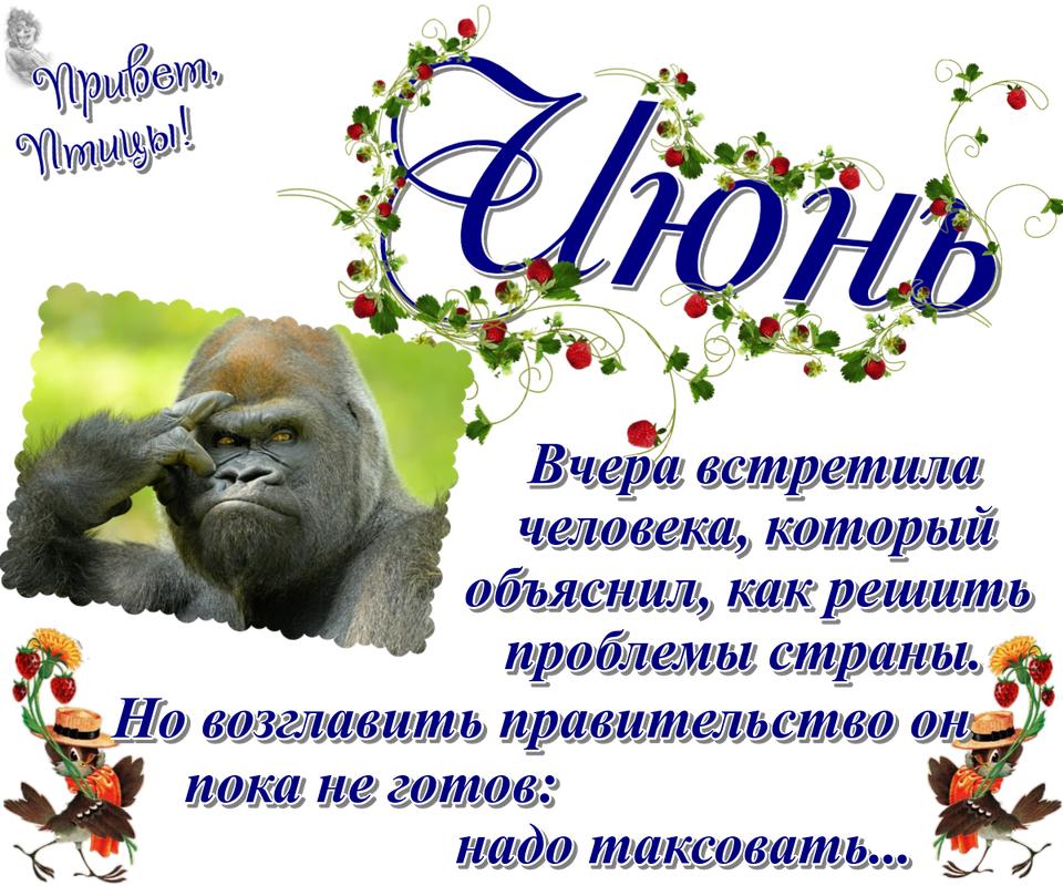 https://i.postimg.cc/bYxMZY12/31-06.png