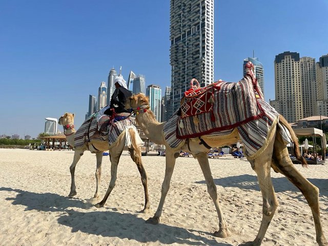 CONOCIENDO DUBAI: PLAYA, RELAX, SOUK MADINAT JUMEIRA Y DATOS PRÁCTICOS - Expo 2020 de Dubai, un viaje de diez (1)