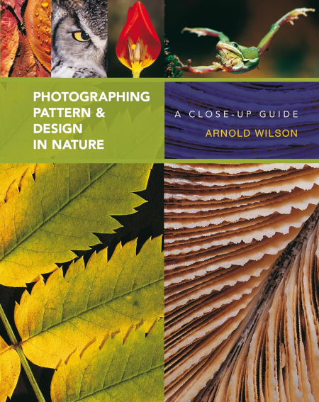 Photographing Pattern & Design in Nature: A Close-up Guide
