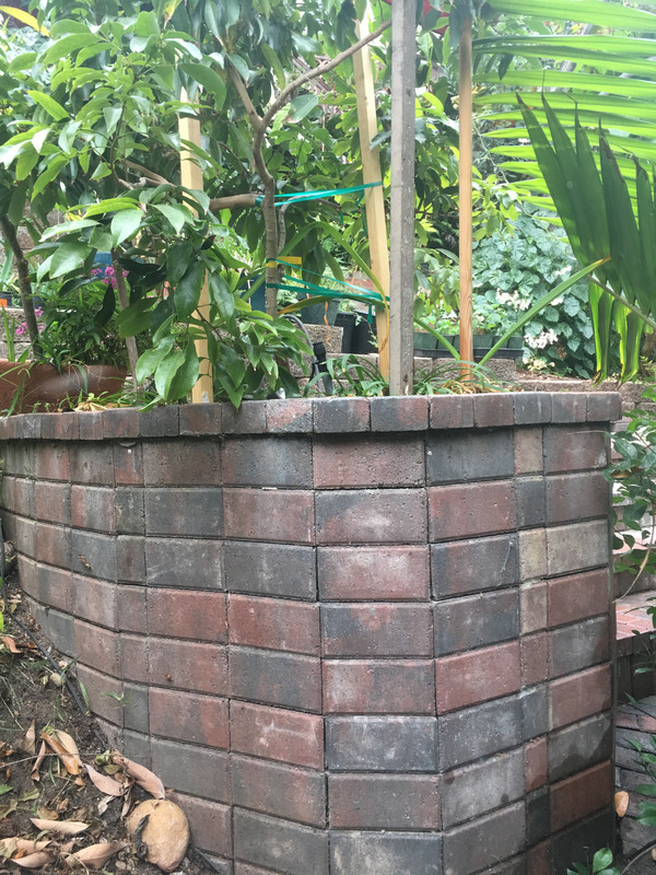 A8179CE2-059E-4772-BFEB-2DB96B03E607