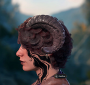 Nevari (Head - Left Side)