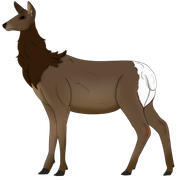 female_elk