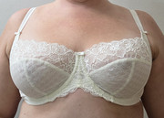 Panache Envy 38DD