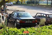 IMG-3461