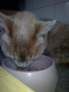 Злата в начале жизни у нас (6)