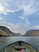 IMG-1443.jpg