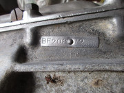 IMG-6418.jpg