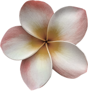 Blossom-Elements-8
