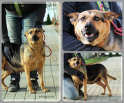 Be-Funky-collage-23.jpg&key=56368eca8f16