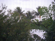 IMGP0079