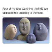 https://i.postimg.cc/bZC0rH04/279624997-10159919141213180-6651574217647275149-n.jpg
