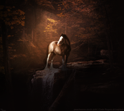 1089A0FD-7C6F-48F7-BFD8-609FF9165BEC