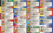 Album-Calciatori-2002-03-Panini-60