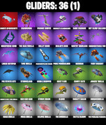 gliders-comp