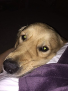 image_2023-02-02_231710078