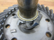 IMG-4958.jpg