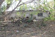 IMG-0275