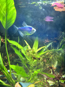 viber_изображение_2023-11-02_20-32-19-065