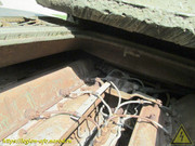 IMG-5694