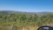 [Image: 20240828-122719.jpg]