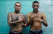 gang-1024x682-1-Copy.jpg
