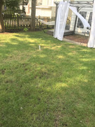 2020-09-16 09.41.27 HDR