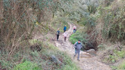 IMG-20260117-104344