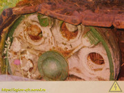DSCN3618