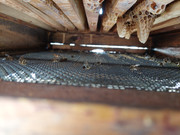 [Obrázky: 20260108-110527.jpg]