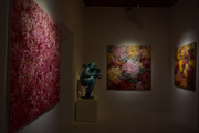 DSC-00051