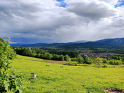 IMG-20210518-165418