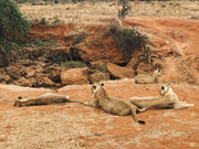 6EC10E70-CDA8-4C3E-9E54-5EA4B8A16734