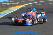 24 HEURES DU MANS YEAR BY YEAR PART SIX 2010 - 2019 - Page 21 2014-LM-33-Ho-Pin-Tung-David-Cheng-Adderly-Fong-03