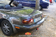 IMG-6721