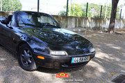 IMG-6719