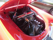 IMG-1467.jpg