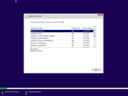 Windows 10 20H1 2004.10.0.19041.264 AIO 14in1 (x86/x64) Multilanguage Preactivated May v2 2020