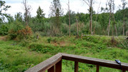 IMG-20210807-131714952-HDR