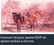 https://i.postimg.cc/bZqwZmpw/photo-2026-06-22-16-12-08.jpg